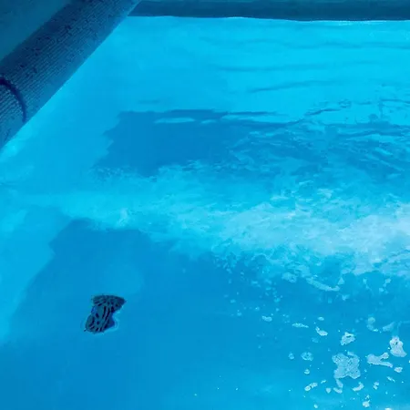 Дом отдыха 12 Person In Ringkobing-by Traum *