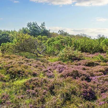 12 Person In Ringkobing-by Traum Дом отдыха Сённервиг